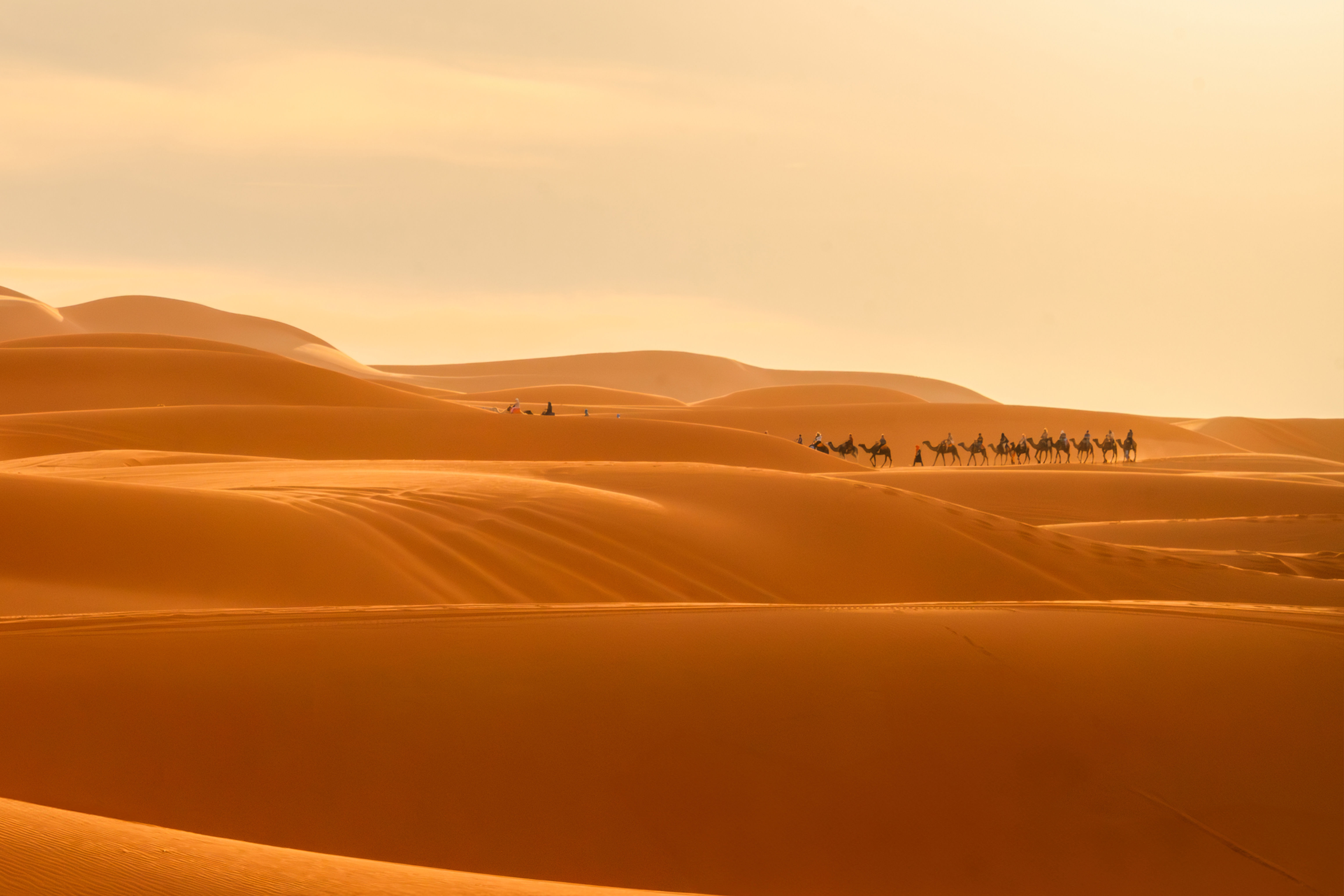 Sahara Journey - Um Mar de Areia e Aventuras