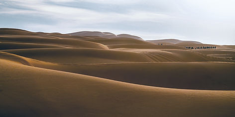 Foto Africa - Luciano Neves Art - Galeria de Arte Online