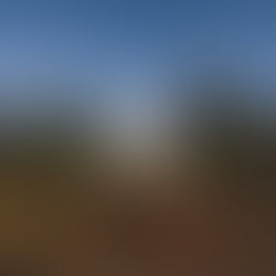 SU reaches 1-year anniversary of COVID-19 shutdown