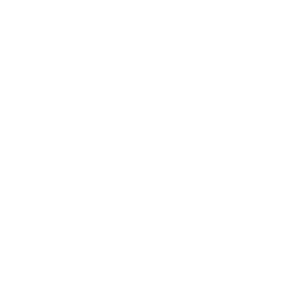 Noir Stockholm Logo
