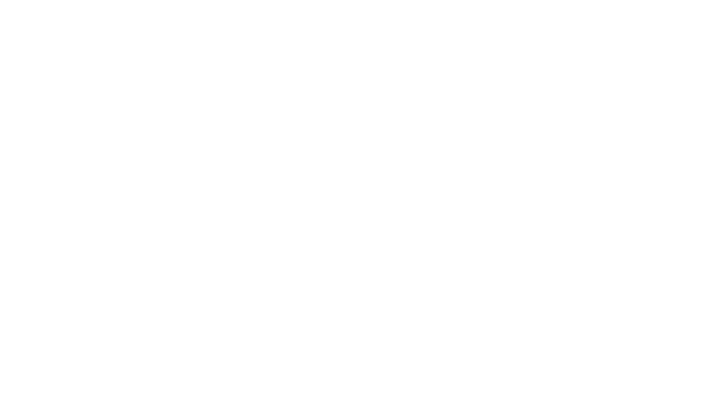 Villani Skostredet Logo