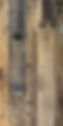 AMERICANA-WEB.jpg