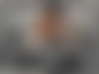 When Climate Agendas Get Set Outside the UNFCCC : The Major Economies Forum on Energy and Climate