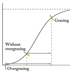 Sigmoid Curve.png