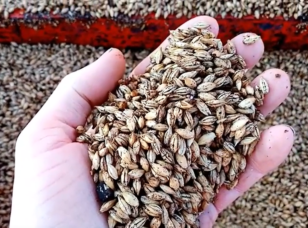 NEW PROJECT COMING SOON