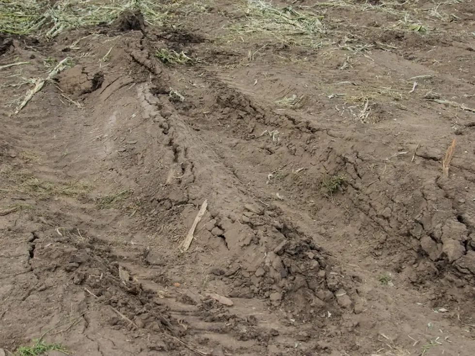 compacted soil.webp