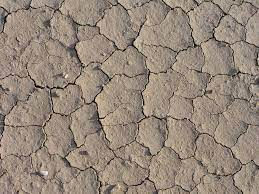 https://npshistory.com/publications/soils/physical_and_biological_soil_crusts.pdf