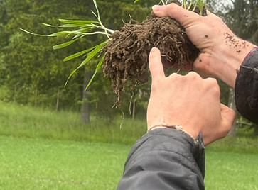 IMG_6617 Large-1.jpeg