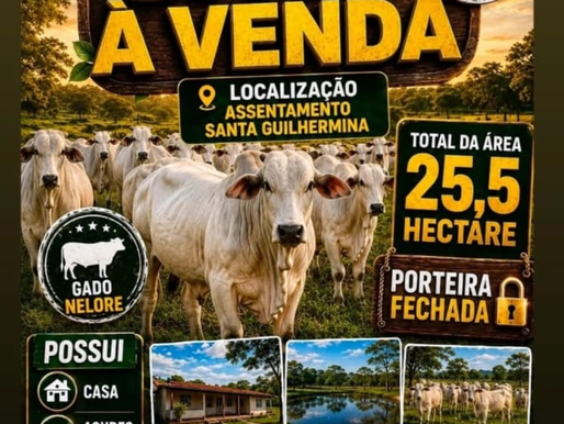 Oportunidade no Agronegócio: Sítio de 25,5 Hectares é Anunciado na Modalidade "Porteira Fechada"