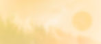 banner site_contact.jpg