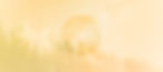 banner site_citation.jpg