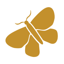 IslandAria_Butterfly_Gold.png