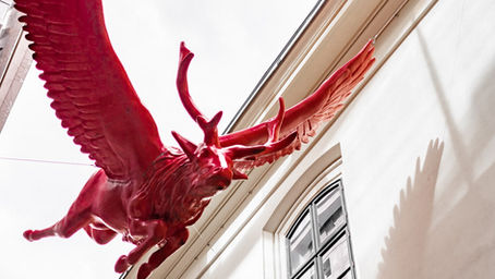 Co vidět v okolí Červeného Jelena