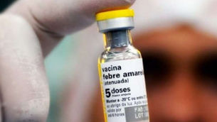 Febre Amarela: confirmada a circulação do vírus da doença em 31 municípios