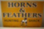Horns & Feathers
