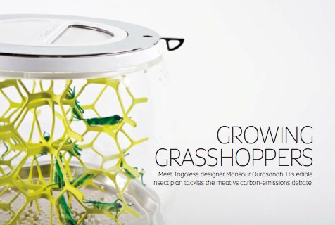 Etihad Magazine, November 2014