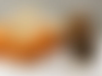 Supporting Women’s Health with
Complementary Therapies