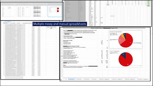 Before working with a data analyst