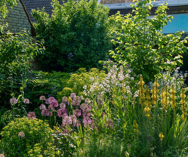 Experimentální zahrada v Litni