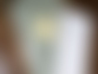 助成金の報告書と申請書