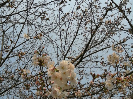2025年3月2回目の「子ども食堂」
