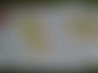 ネットワーク会議