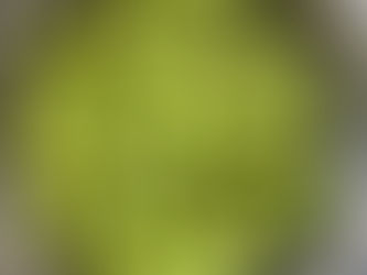 2021年 9月2回目の「子ども食堂」