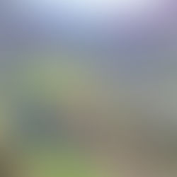 The Importance of Leave No Trace Principles for Preserving the Outdoors