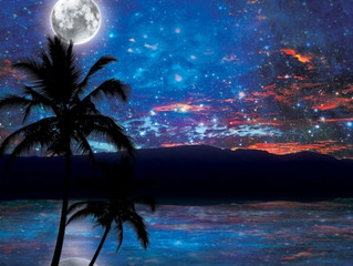 PAINT STARRY NIGHT AGAIN, MAN!