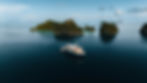 IMG_6187.jpeg