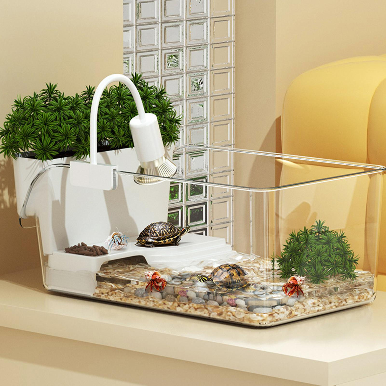 Small Professional Transparent Turtle Terrarium Reptile Breeding Tank Insect Spi