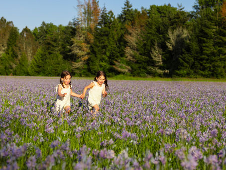 The Best Outdoor Photography Locations in Eugene | Eugene Photographer