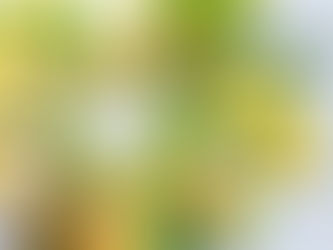 Los Beneficios De Comer Aguacates Diariamente