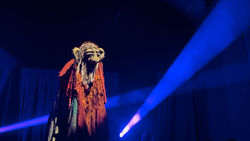 Dragon Quest (Elder)