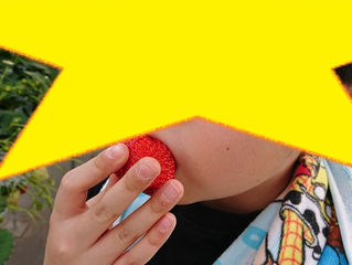 いちご狩りに行ってきました🍓