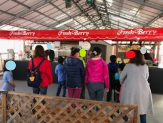 いちご狩りに行ったよ🍓