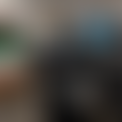 2月の様子(六供)