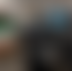 2月の様子(六供)