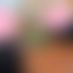 3月 さぼてんきっずの様子(下新田)