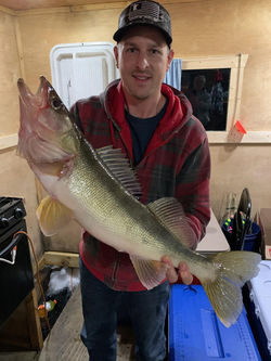 Pearson Group Jan 2022