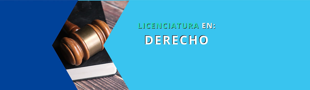 CARRERAS UNIVERSIDAD (33)_edited.jpg