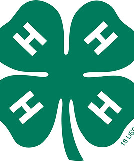 4-H-Clover.jpg