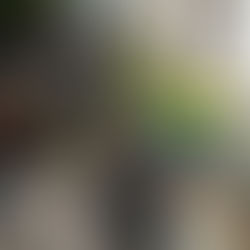 Schöpflin Stiftung - Aspahlteinbau 2022