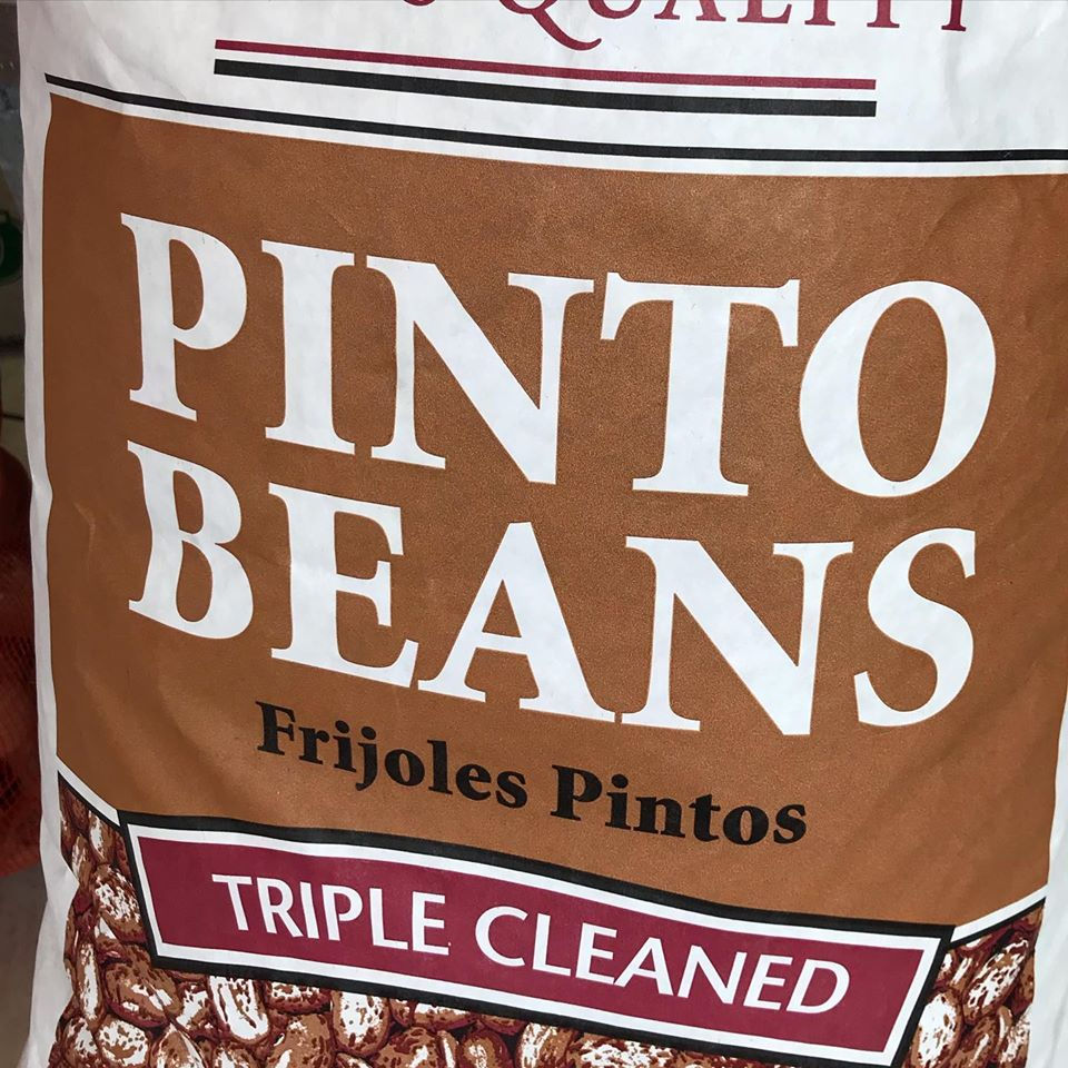 Pinto Beans