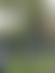 ✨ Thank You for Your Beautiful Words ✨