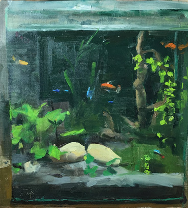 Aquarium and Poissons