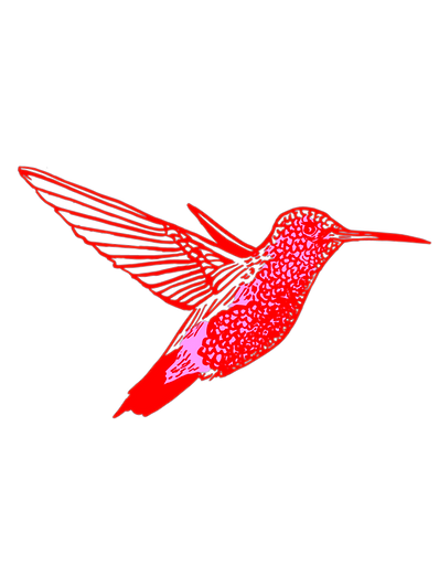 Hummingbird logo.png