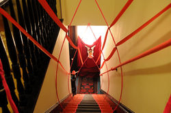 'The Re-Birth Canal'