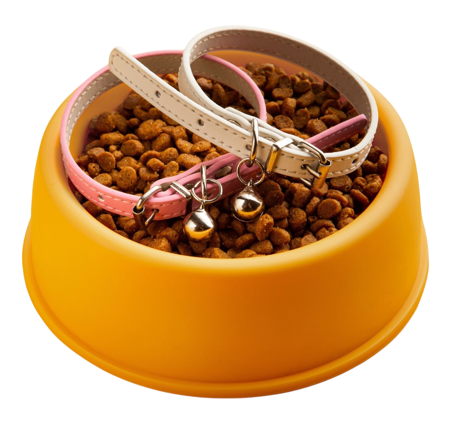 pet-accessory.png