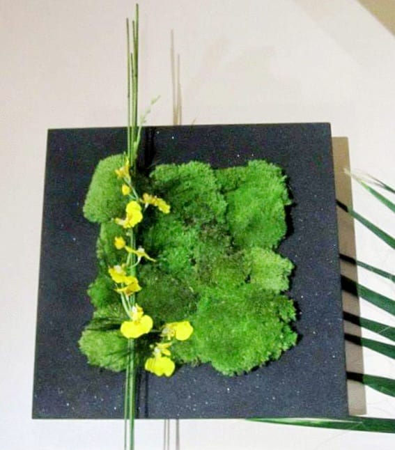 vegetalart plantes naturalisees mousse lichen suisse decoration vaud design interieur